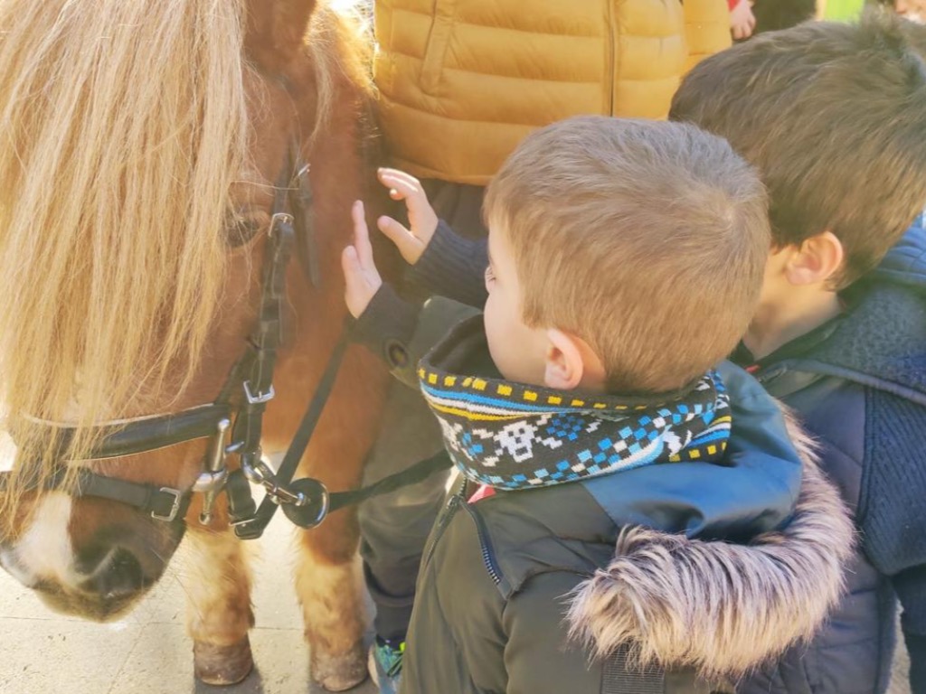 Veure TRES TOMBS A L'ESCOLA !!